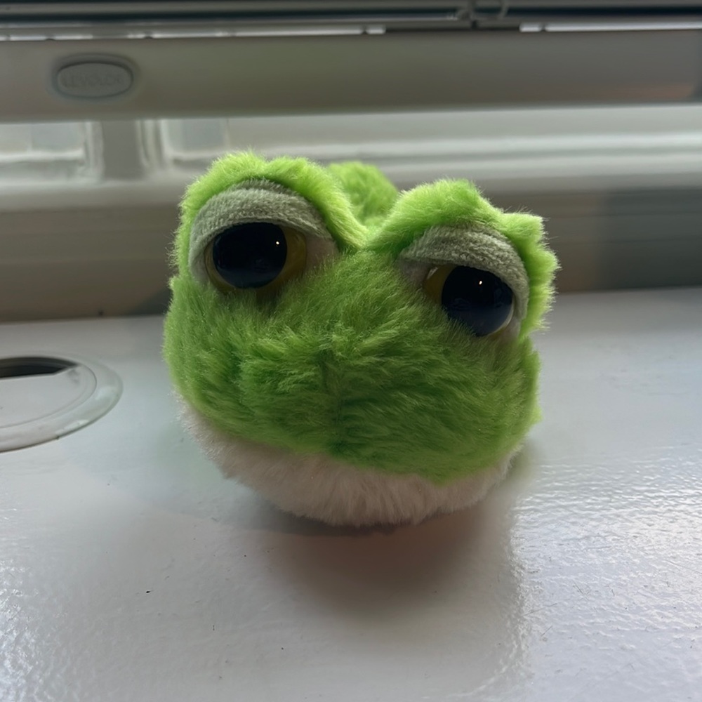 Fluffy Frog Plushie